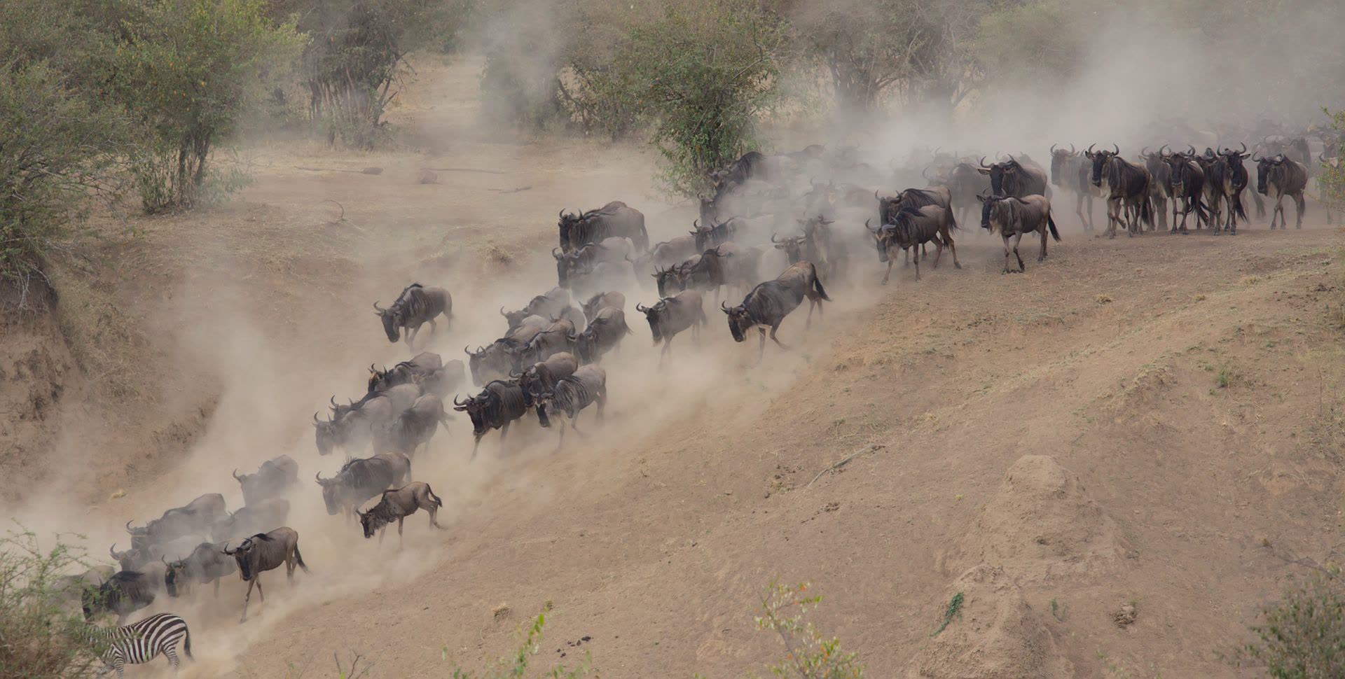 Maasai Mara
